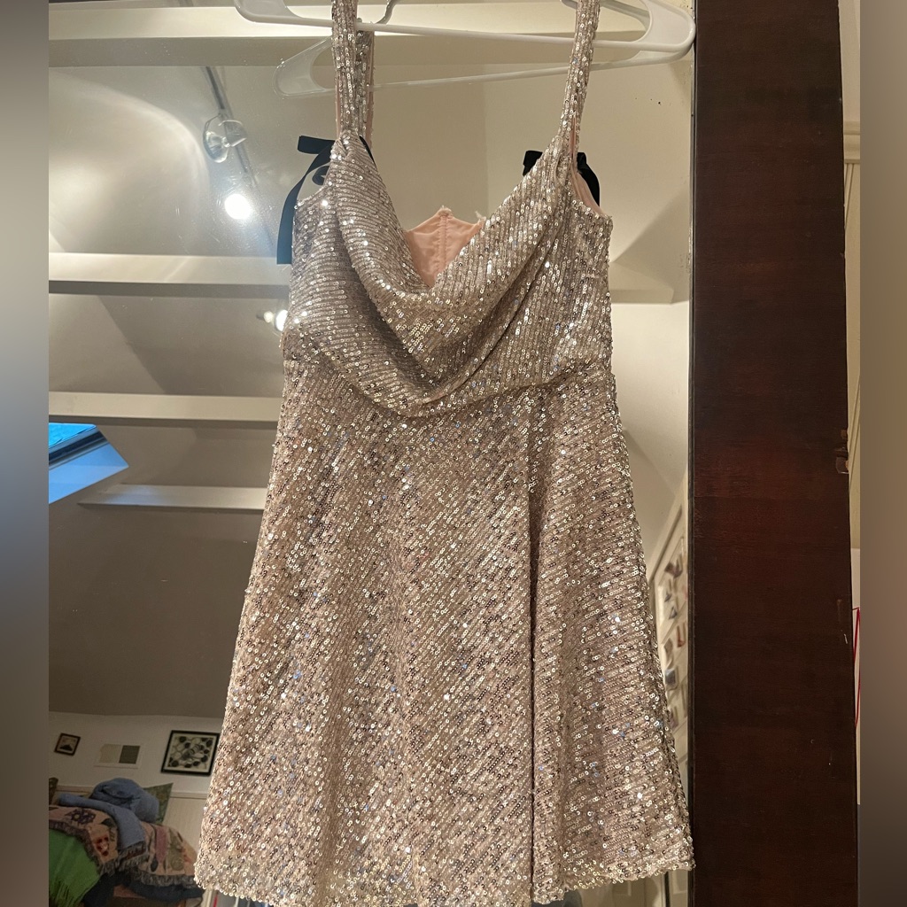 Size Xs Silver Candice Mini Dress- For Love And Lemons